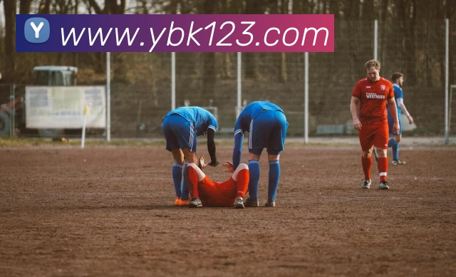 大阳城43335.cm登录地址品牌故事